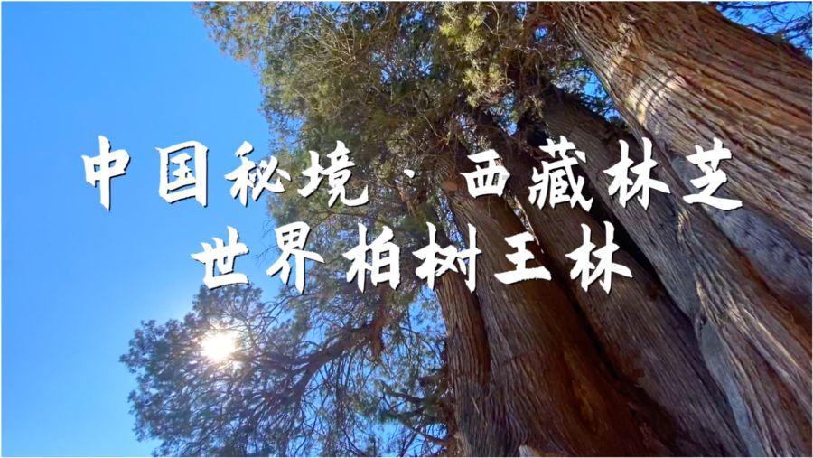“点亮陇西堂”2024年“兰迪杯”陇西县农民篮球争霸赛开赛